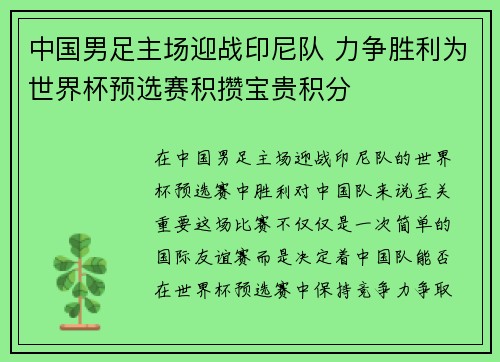 中国男足主场迎战印尼队 力争胜利为世界杯预选赛积攒宝贵积分
