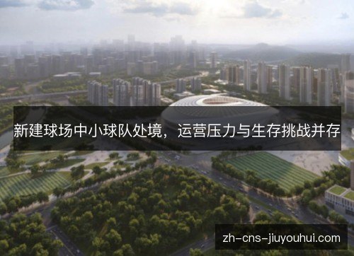 新建球场中小球队处境,运营压力与生存挑战并存 新建球场中小球队处境,运营压力与生存挑战并存